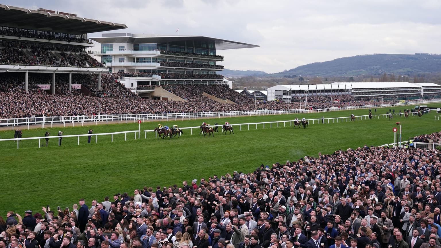 Cheltenham 2026 Punters Panel: Festival tips and insight from our expert panel