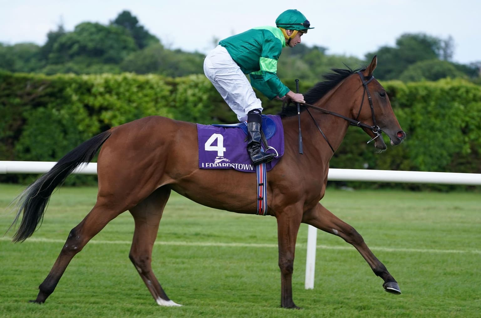 Focus On The Flat: Classic thoughts and a 2025 horse to follow